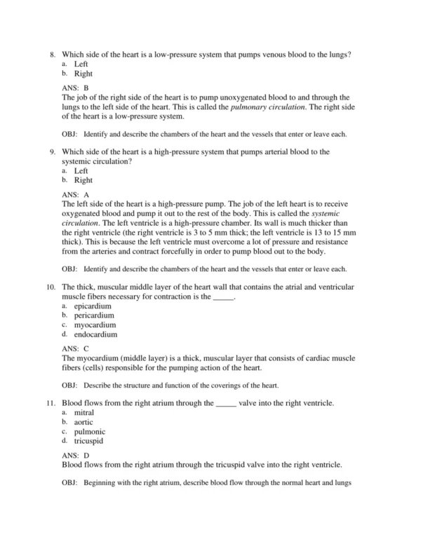 Chapter-based ECG study questions covering arrhythmias and rhythm analysis for nursing exam preparation