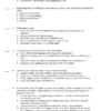 Test Bank For Meeting The Physical Therapy Needs Of Children 3rd Edition Susan K. Effgen 2 Pediatric physical therapy practice questions with developmental and mobility care scenarios for students
