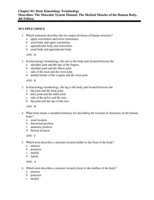 Detailed answer rationales explaining correct responses for muscular anatomy and physiology questions